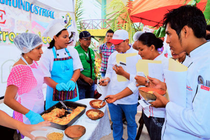 alimentacion-unsm-t