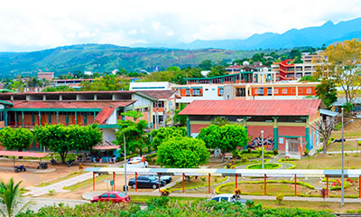 Universidad Nacional de San Martín - Tarapoto